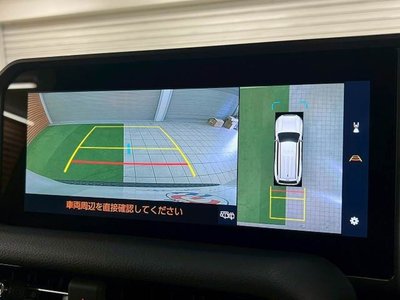 TOYOTA LAND CRUISER 250 - 4