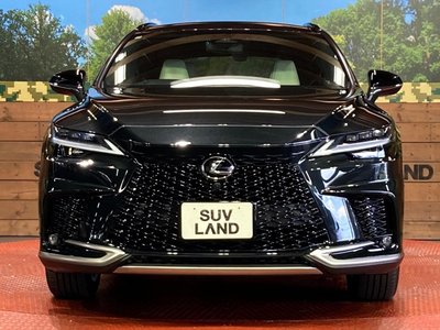 2025 Lexus RX — миниатюра 14