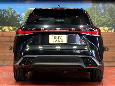 2025 Lexus RX — миниатюра 15