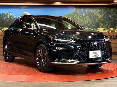 2025 Lexus RX — миниатюра 16