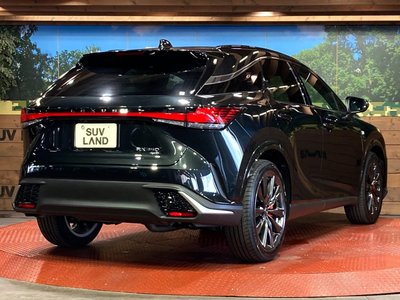 2025 Lexus RX — миниатюра 17