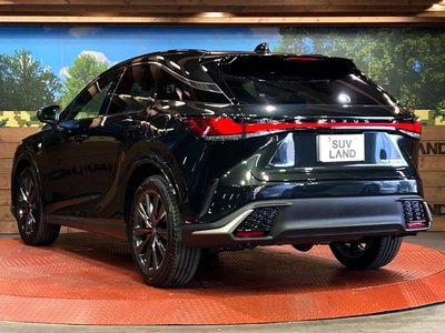 2025 Lexus RX — миниатюра 28