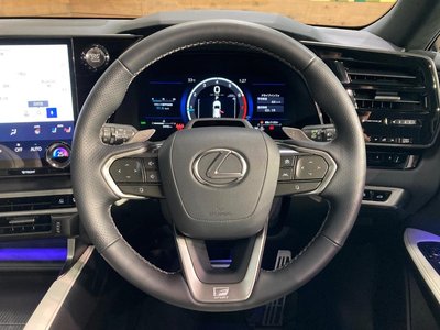 2025 Lexus RX photo 8