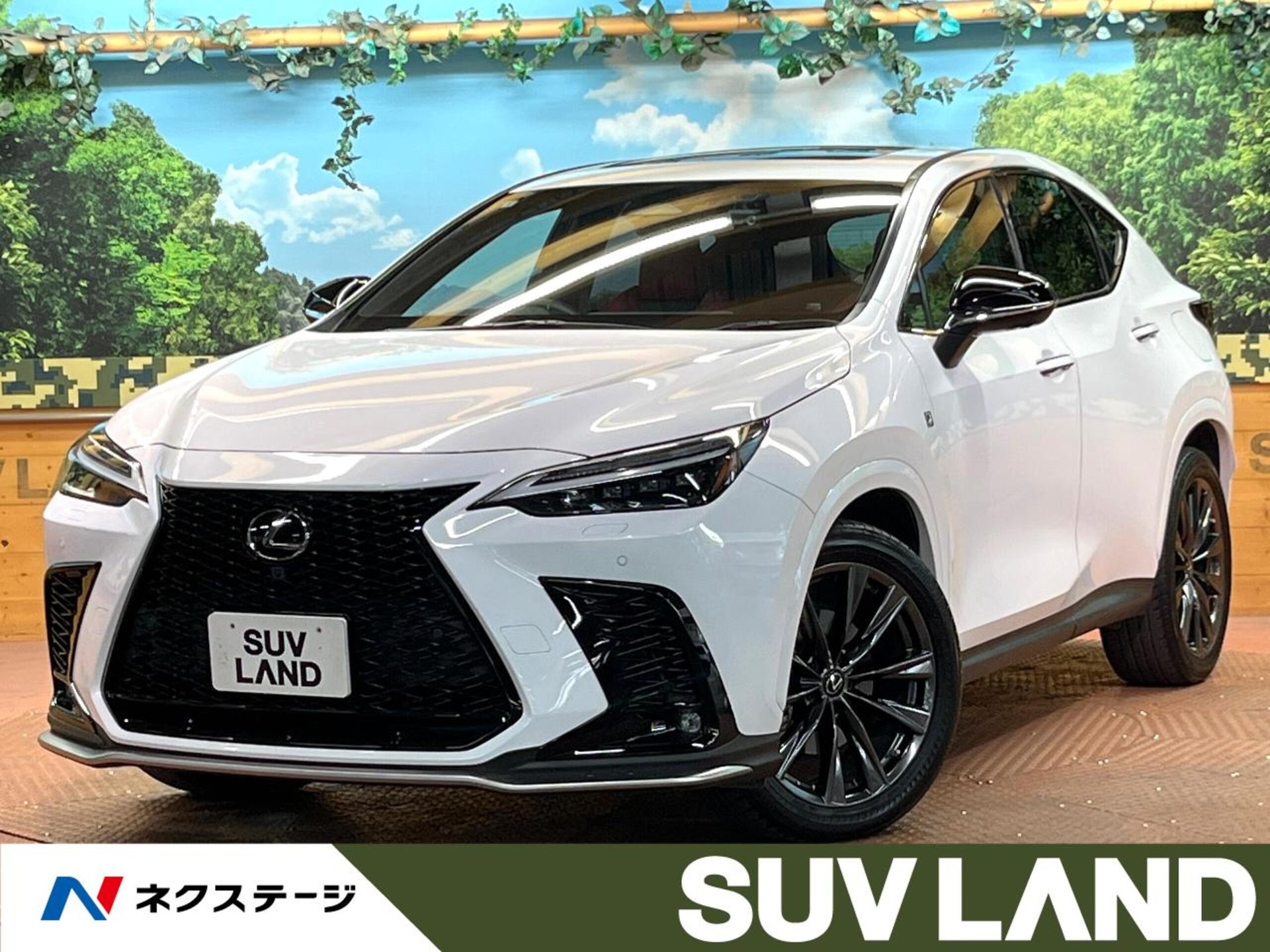 LEXUS NX - View 1