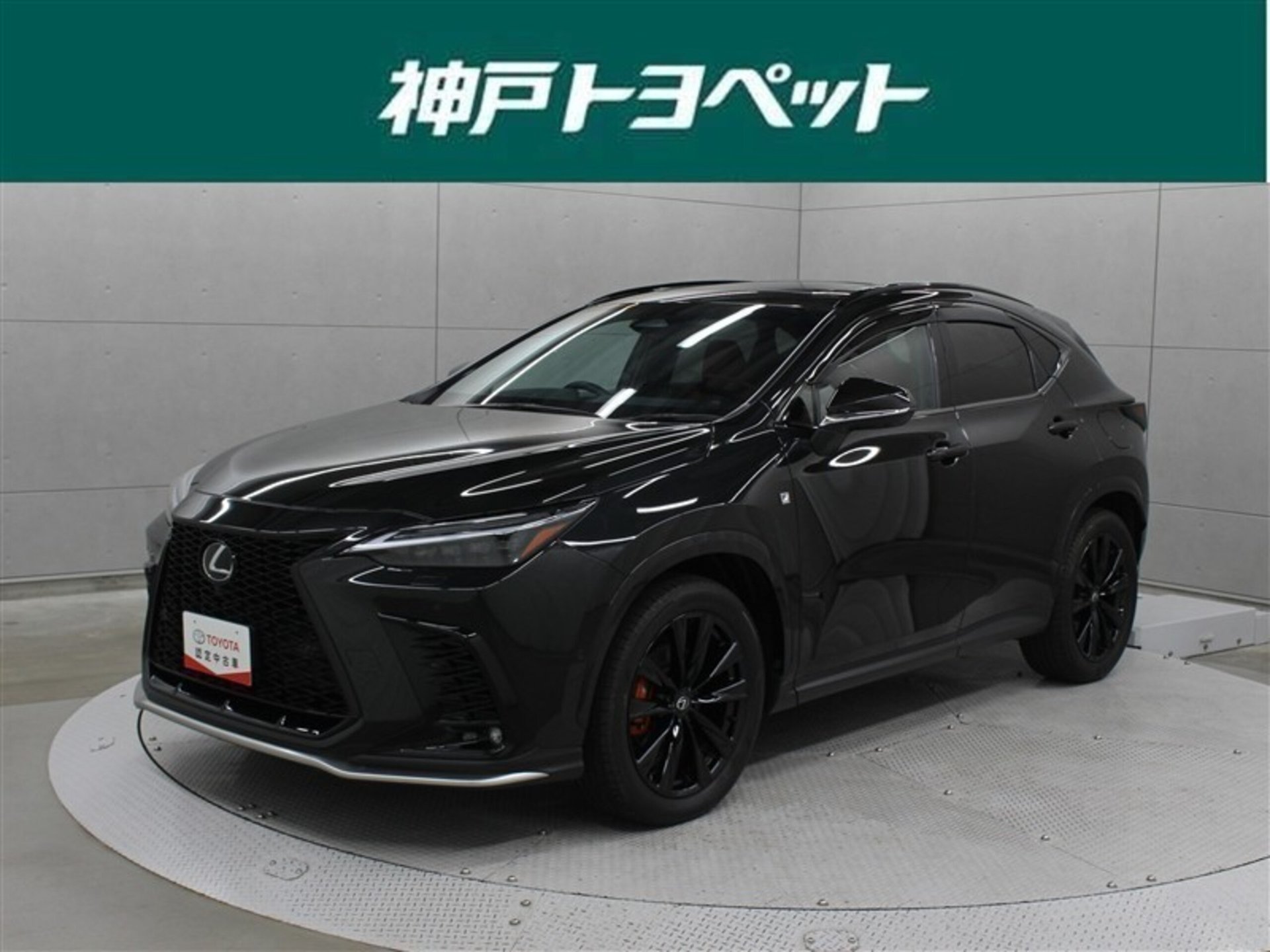 LEXUS NX - View 1