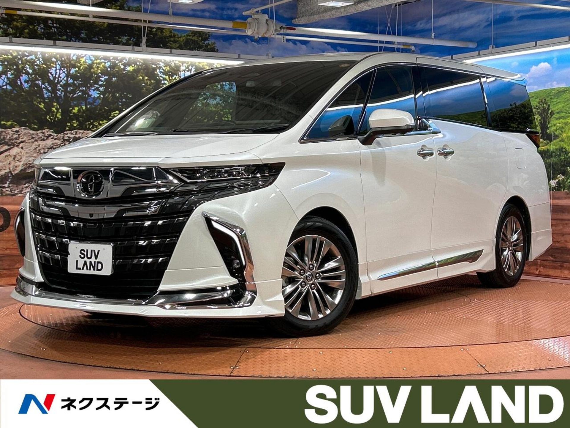 TOYOTA ALPHARD - View 1