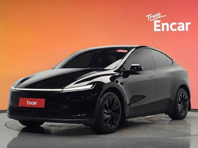 2025 Tesla MODEL Y — фото 1