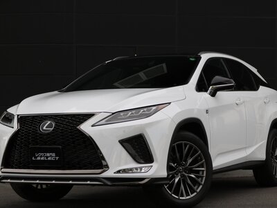 LEXUS RX - 9
