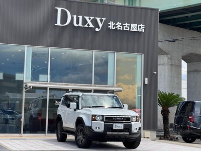TOYOTA LAND CRUISER 250 - 9