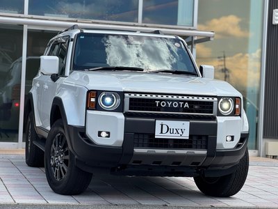 TOYOTA LAND CRUISER 250 - 6