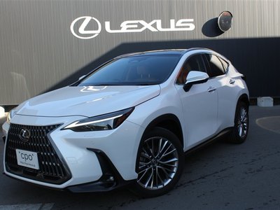 LEXUS NX - 1