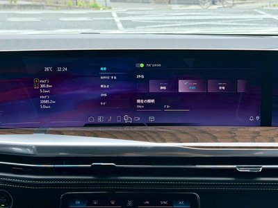 2025 Cadillac ESCALADE — миниатюра 53