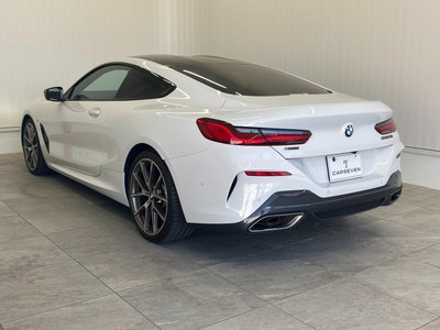2019 BMW 8 SERIES 照片 3