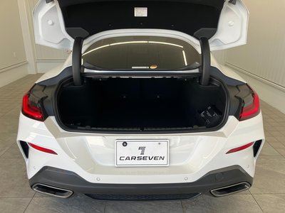 صورة مصغرة 54 لـ 2019 BMW 8 SERIES