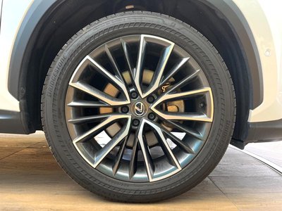 2023 Lexus NX 缩略图 25