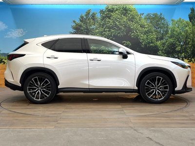 2023 Lexus NX 缩略图 29