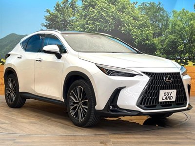 2023 Lexus NX 缩略图 16