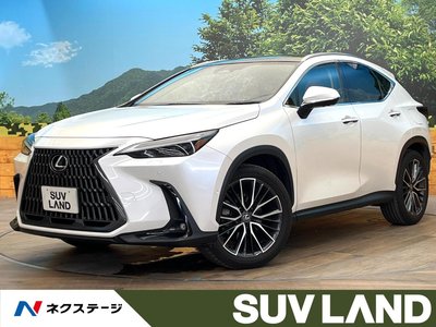2023 Lexus NX photo 1
