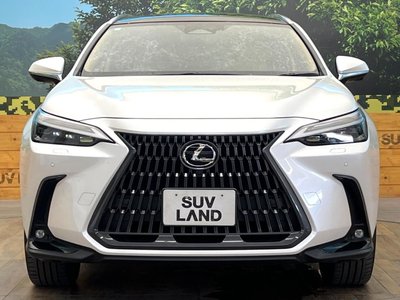 2023 Lexus NX 缩略图 14