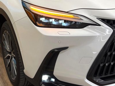 2023 Lexus NX 缩略图 12