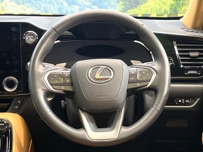 2023 Lexus NX 缩略图 11