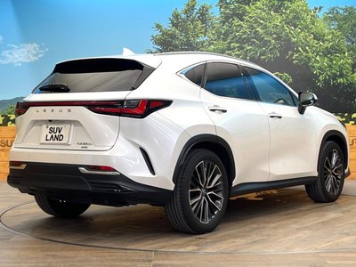 2023 Lexus NX 缩略图 17