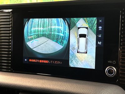 TOYOTA LAND CRUISER 250 - 4