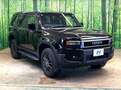 TOYOTA LAND CRUISER 250 - 10