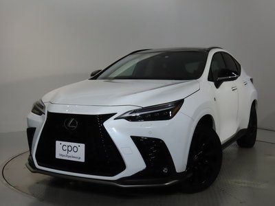 LEXUS NX - 6