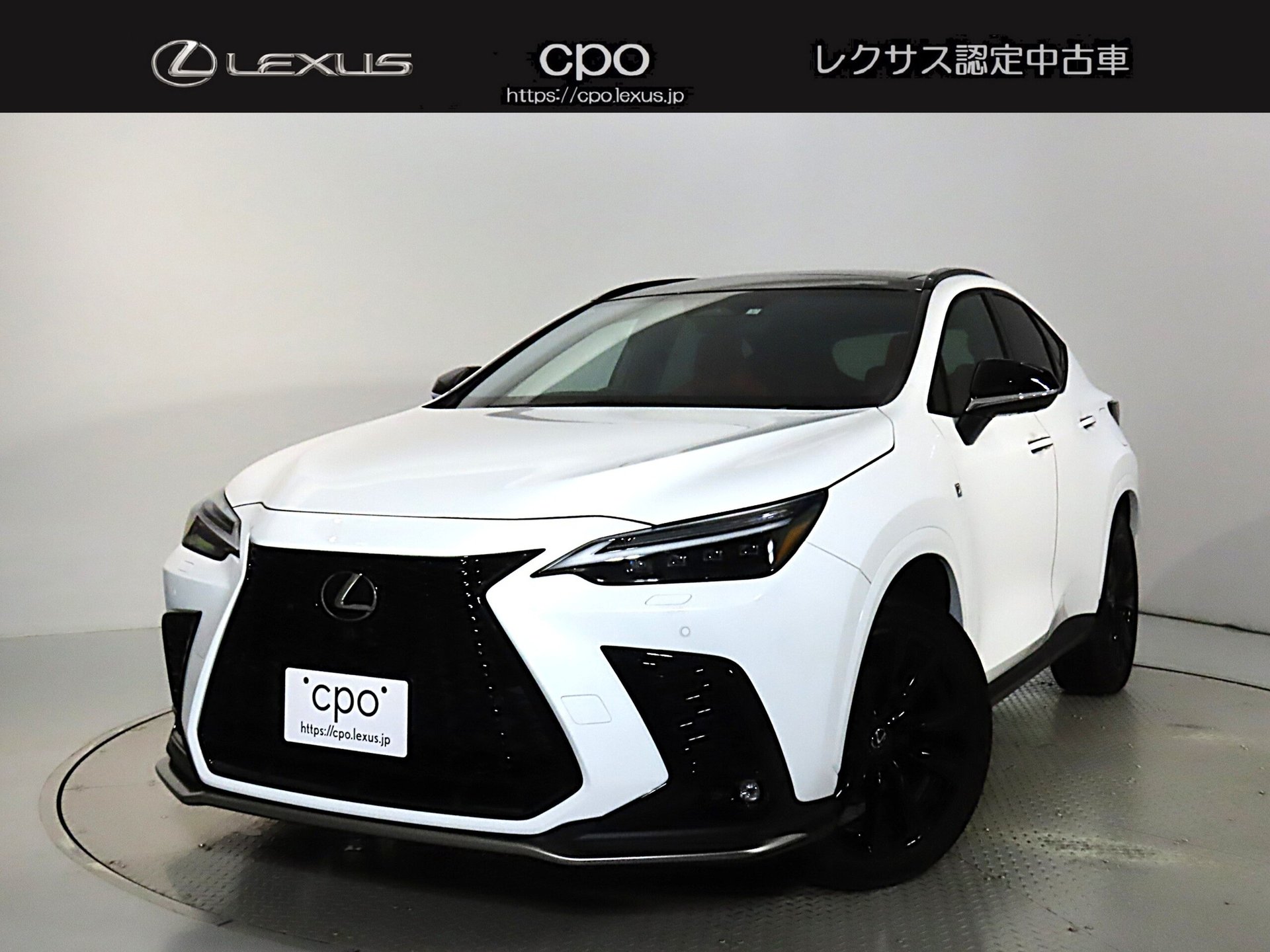 LEXUS NX - View 1