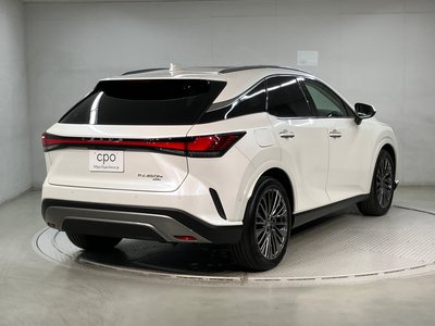 LEXUS RX - 6