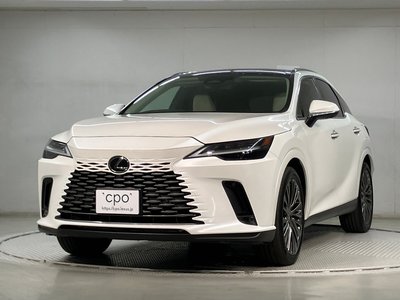 LEXUS RX - 1