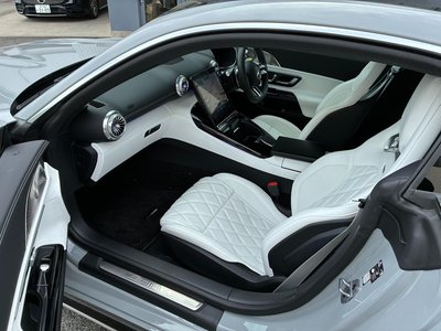 2025 Mercedes-BENZ GT AMG 缩略图 20