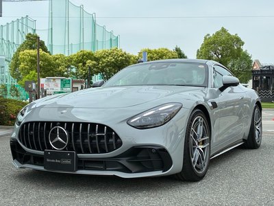2025 Mercedes-BENZ GT AMG 缩略图 11