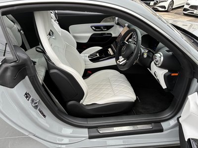 2025 Mercedes-BENZ GT AMG 缩略图 18