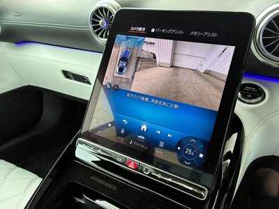 2025 Mercedes-BENZ GT AMG 缩略图 41