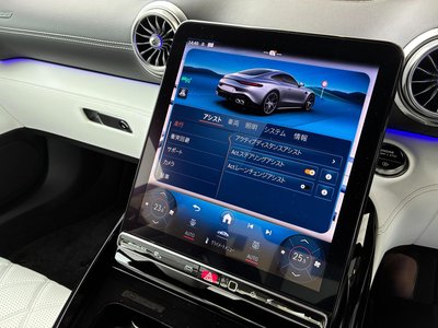 2025 Mercedes-BENZ GT AMG 缩略图 39