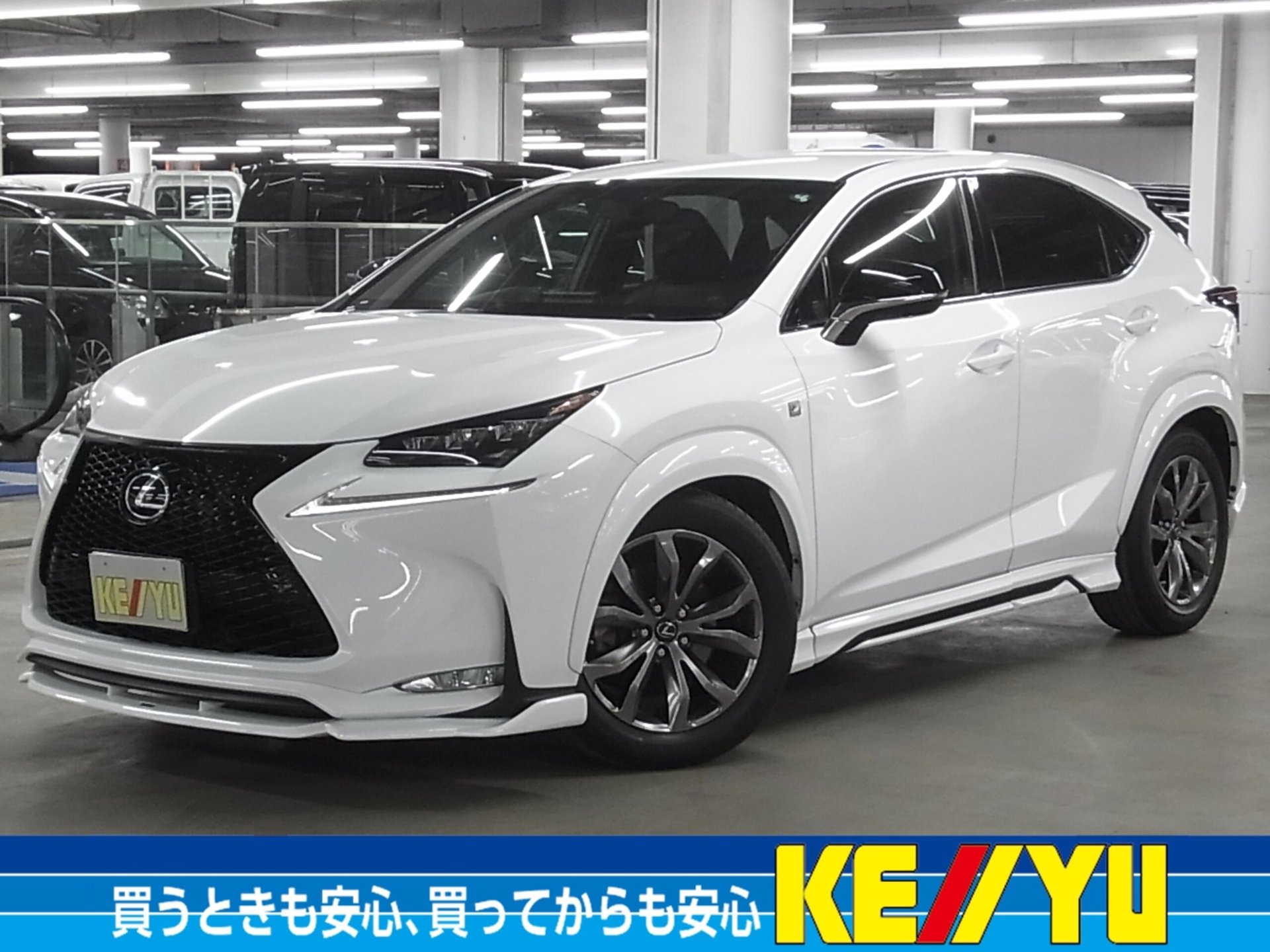 LEXUS NX - View 1