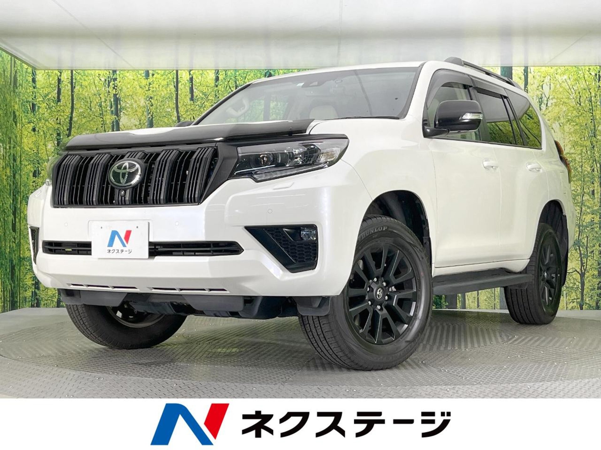TOYOTA LAND CRUISER PRADO - View 1