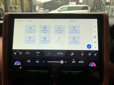 2025 Toyota VELLFIRE 缩略图 38