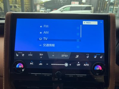 2025 Toyota VELLFIRE 缩略图 35