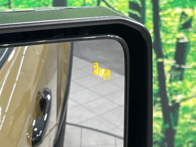 TOYOTA LAND CRUISER 250 - 6