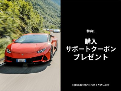 LAMBORGHINI AVENTADOR - 8