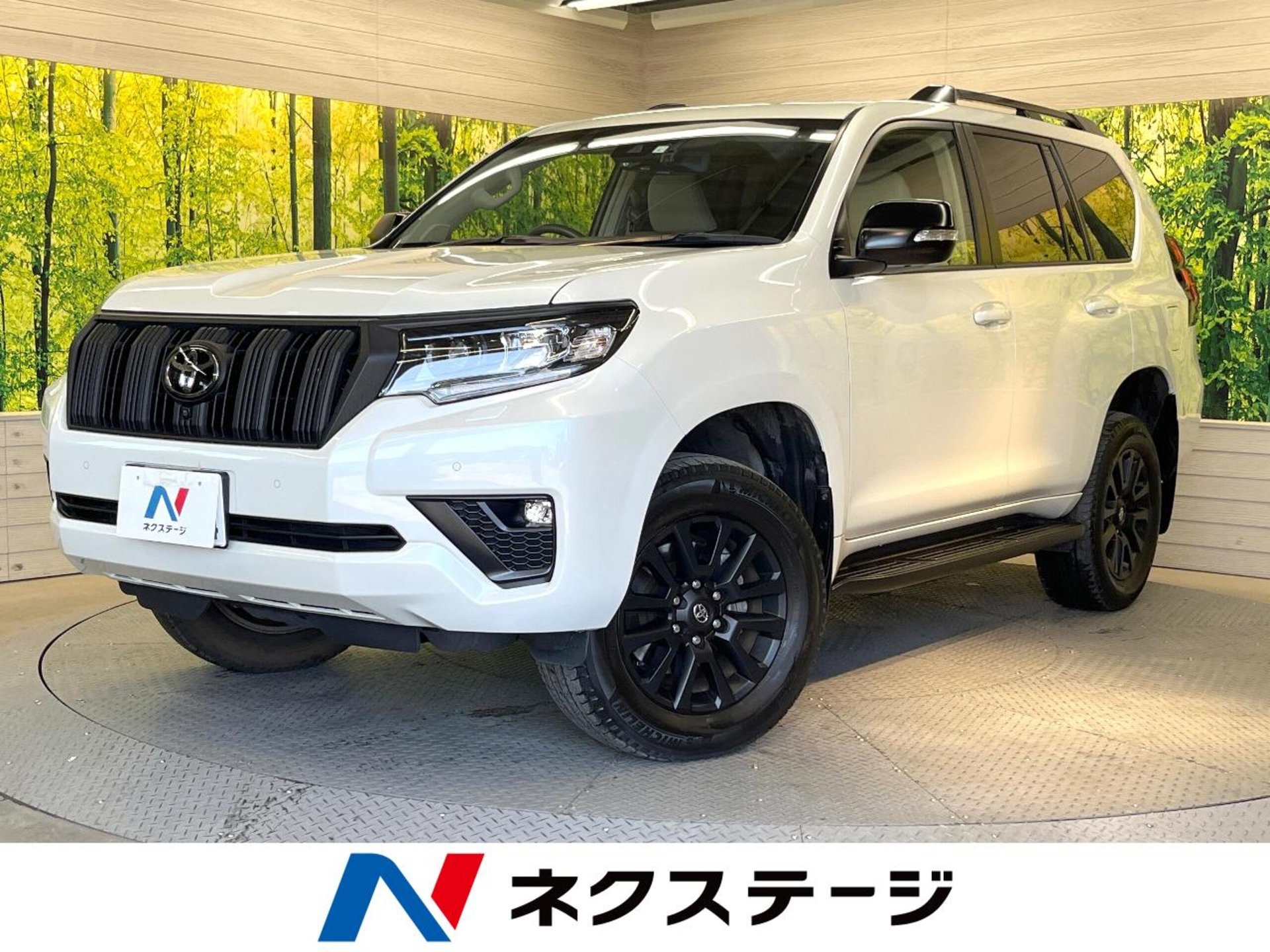 TOYOTA LAND CRUISER PRADO - View 1
