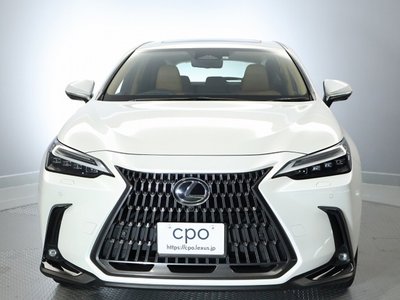 LEXUS NX - 2