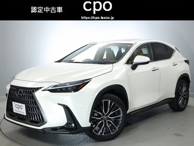 LEXUS NX - 1