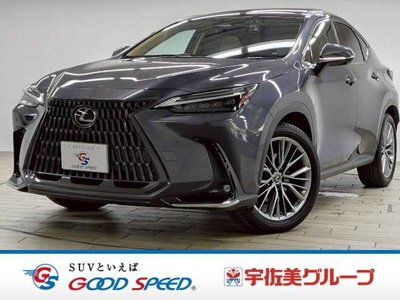 LEXUS NX - 1