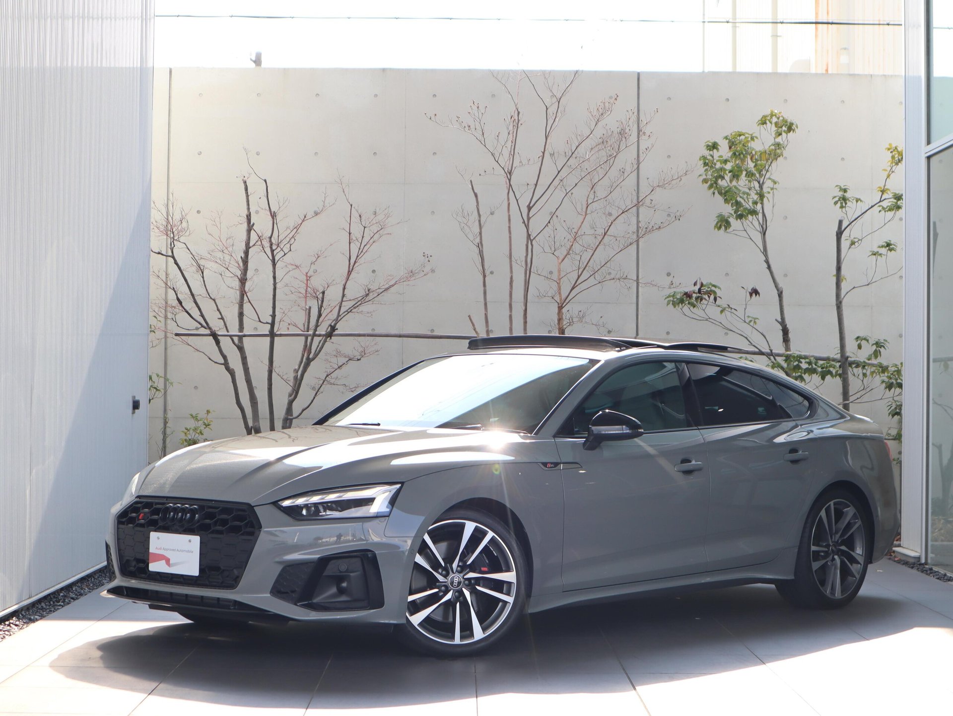 AUDI S5 SPORTBACK - View 1