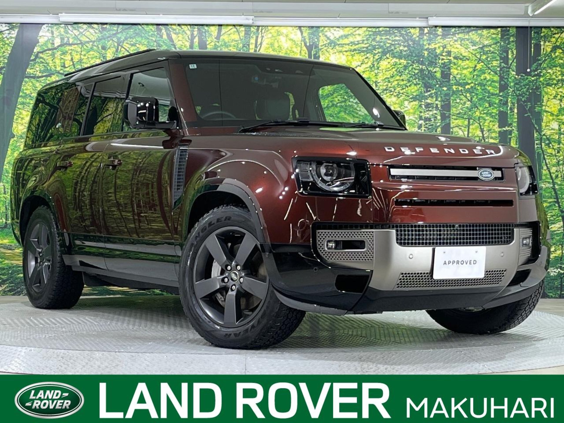 LAND ROVER DEFENDER - View 1