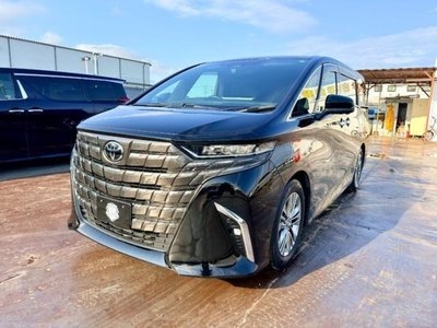 2023 Toyota ALPHARD 照片 2
